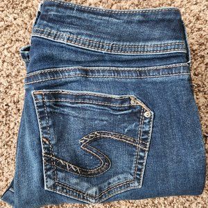 Silver Dark Wash Skinny Jeans 27 Short